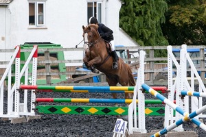 Class 7 - Fences 3' to 3'3